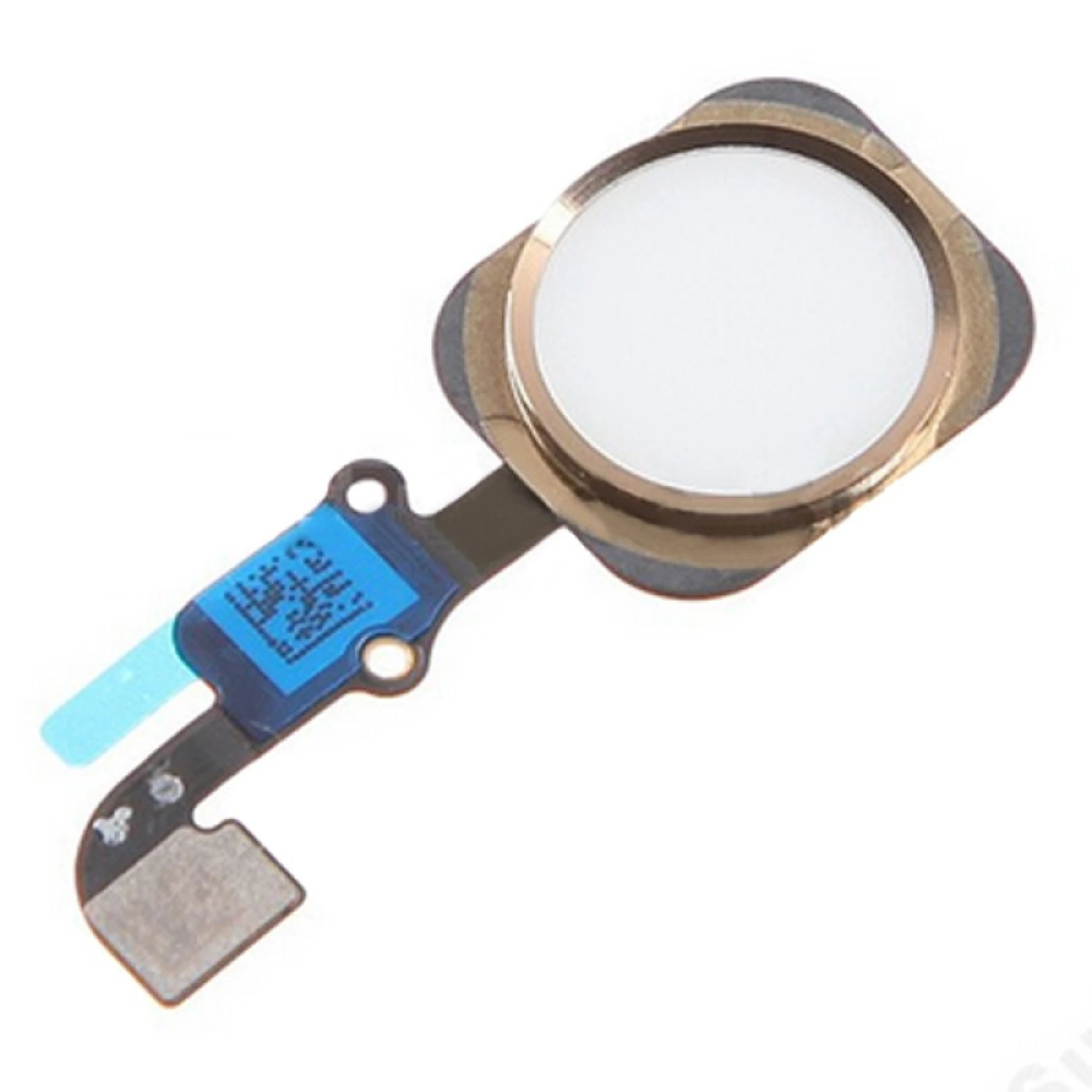 iPhone 6S Home Button. Gold